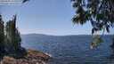 ./images/koeye/fitz-hugh/20250602/fitz-hugh20250602_132509M.jpg