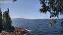 ./images/koeye/fitz-hugh/20250602/fitz-hugh20250602_133011M.jpg