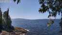 ./images/koeye/fitz-hugh/20250602/fitz-hugh20250602_133510M.jpg