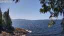 ./images/koeye/fitz-hugh/20250602/fitz-hugh20250602_134511M.jpg