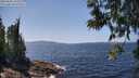 ./images/koeye/fitz-hugh/20250602/fitz-hugh20250602_135510M.jpg