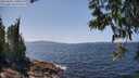 ./images/koeye/fitz-hugh/20250602/fitz-hugh20250602_140012M.jpg