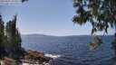 ./images/koeye/fitz-hugh/20250602/fitz-hugh20250602_141011M.jpg
