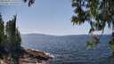 ./images/koeye/fitz-hugh/20250602/fitz-hugh20250602_142510M.jpg