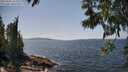 ./images/koeye/fitz-hugh/20250602/fitz-hugh20250602_143508M.jpg