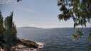 ./images/koeye/fitz-hugh/20250602/fitz-hugh20250602_145509M.jpg