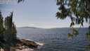 ./images/koeye/fitz-hugh/20250602/fitz-hugh20250602_150012M.jpg