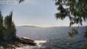 ./images/koeye/fitz-hugh/20250602/fitz-hugh20250602_152510M.jpg