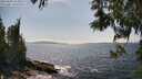 ./images/koeye/fitz-hugh/20250602/fitz-hugh20250602_153010M.jpg