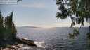 ./images/koeye/fitz-hugh/20250602/fitz-hugh20250602_154510M.jpg