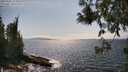 ./images/koeye/fitz-hugh/20250602/fitz-hugh20250602_155010M.jpg