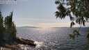 ./images/koeye/fitz-hugh/20250602/fitz-hugh20250602_160012M.jpg