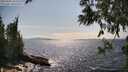 ./images/koeye/fitz-hugh/20250602/fitz-hugh20250602_160510M.jpg