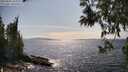 ./images/koeye/fitz-hugh/20250602/fitz-hugh20250602_161009M.jpg