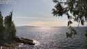 ./images/koeye/fitz-hugh/20250602/fitz-hugh20250602_161511M.jpg