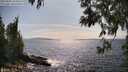 ./images/koeye/fitz-hugh/20250602/fitz-hugh20250602_162011M.jpg