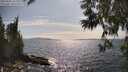 ./images/koeye/fitz-hugh/20250602/fitz-hugh20250602_163509M.jpg