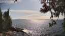./images/koeye/fitz-hugh/20250602/fitz-hugh20250602_164508M.jpg