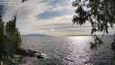 ./images/koeye/fitz-hugh/20250602/fitz-hugh20250602_174510M.jpg