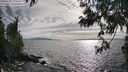 ./images/koeye/fitz-hugh/20250602/fitz-hugh20250602_175510M.jpg