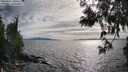 ./images/koeye/fitz-hugh/20250602/fitz-hugh20250602_180012M.jpg