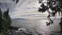 ./images/koeye/fitz-hugh/20250602/fitz-hugh20250602_180508M.jpg