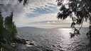 ./images/koeye/fitz-hugh/20250602/fitz-hugh20250602_181009M.jpg