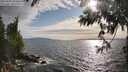 ./images/koeye/fitz-hugh/20250602/fitz-hugh20250602_182011M.jpg