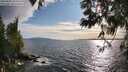 ./images/koeye/fitz-hugh/20250602/fitz-hugh20250602_184510M.jpg