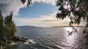 ./images/koeye/fitz-hugh/20250602/fitz-hugh20250602_185011M.jpg