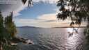 ./images/koeye/fitz-hugh/20250602/fitz-hugh20250602_185510M.jpg