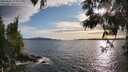 ./images/koeye/fitz-hugh/20250602/fitz-hugh20250602_190010M.jpg