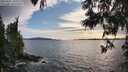 ./images/koeye/fitz-hugh/20250602/fitz-hugh20250602_190508M.jpg