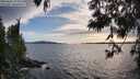 ./images/koeye/fitz-hugh/20250602/fitz-hugh20250602_191009M.jpg