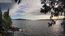 ./images/koeye/fitz-hugh/20250602/fitz-hugh20250602_192509M.jpg
