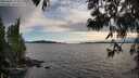 ./images/koeye/fitz-hugh/20250602/fitz-hugh20250602_194008M.jpg