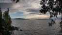 ./images/koeye/fitz-hugh/20250602/fitz-hugh20250602_195509M.jpg