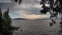 ./images/koeye/fitz-hugh/20250602/fitz-hugh20250602_200509M.jpg