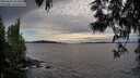 ./images/koeye/fitz-hugh/20250602/fitz-hugh20250602_201008M.jpg