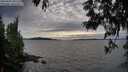 ./images/koeye/fitz-hugh/20250602/fitz-hugh20250602_201509M.jpg