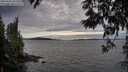 ./images/koeye/fitz-hugh/20250602/fitz-hugh20250602_202508M.jpg