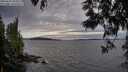 ./images/koeye/fitz-hugh/20250602/fitz-hugh20250602_203009M.jpg