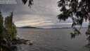 ./images/koeye/fitz-hugh/20250602/fitz-hugh20250602_203509M.jpg