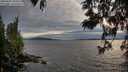 ./images/koeye/fitz-hugh/20250602/fitz-hugh20250602_205009M.jpg