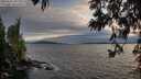 ./images/koeye/fitz-hugh/20250602/fitz-hugh20250602_205507M.jpg