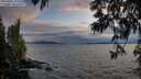 ./images/koeye/fitz-hugh/20250602/fitz-hugh20250602_211009M.jpg