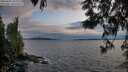./images/koeye/fitz-hugh/20250602/fitz-hugh20250602_211507M.jpg
