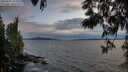 ./images/koeye/fitz-hugh/20250602/fitz-hugh20250602_212009M.jpg