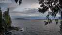 ./images/koeye/fitz-hugh/20250602/fitz-hugh20250602_212508M.jpg