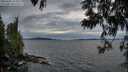 ./images/koeye/fitz-hugh/20250602/fitz-hugh20250602_213008M.jpg